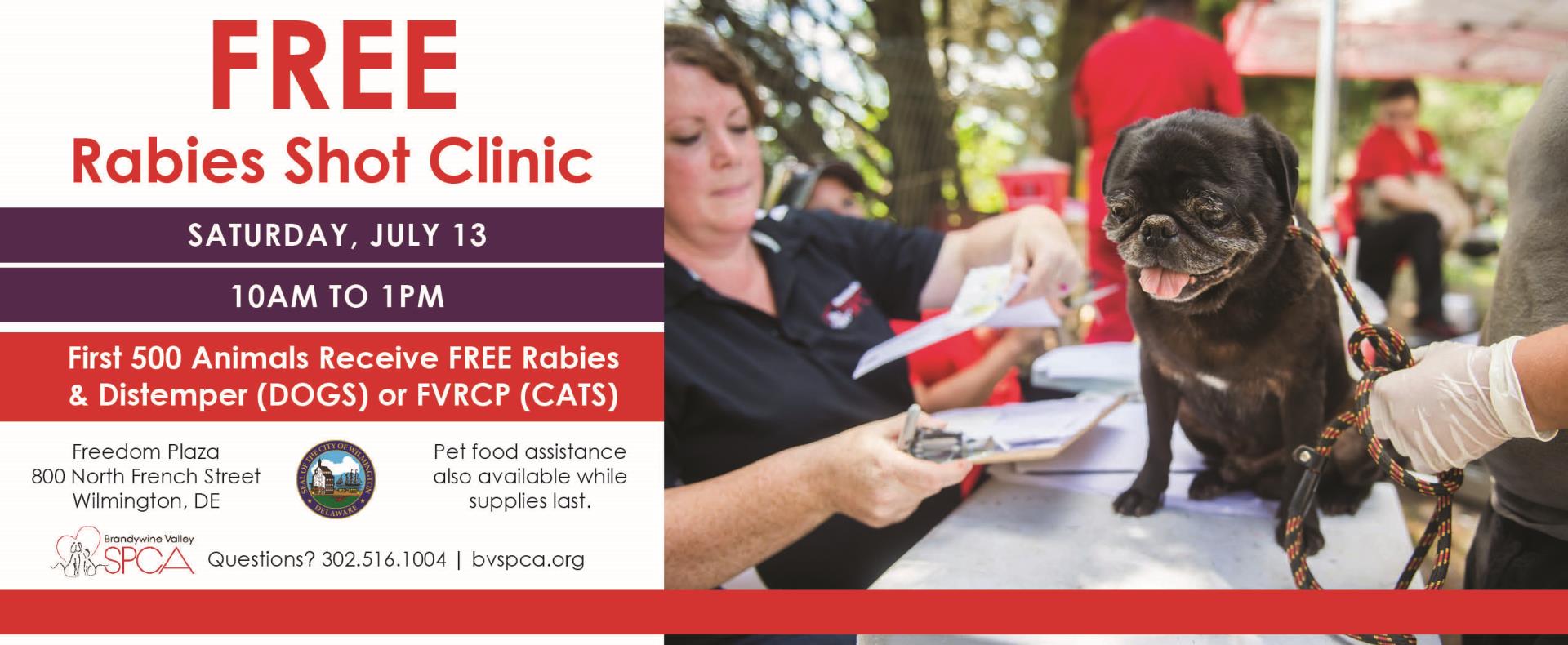 free rabies clinic