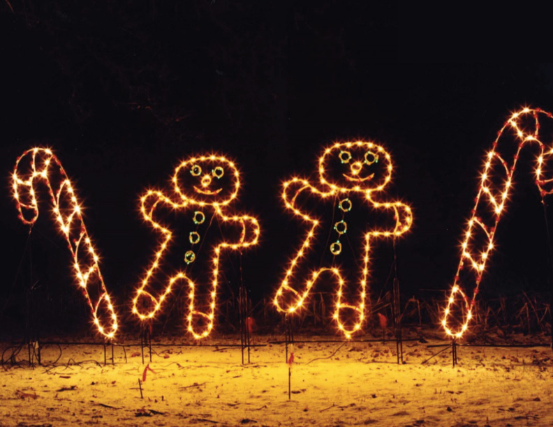 Holiday Light Show