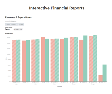 Image of OpenGov Financial Report